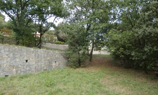 Photo N° 4