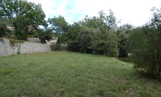 Photo N° 6
