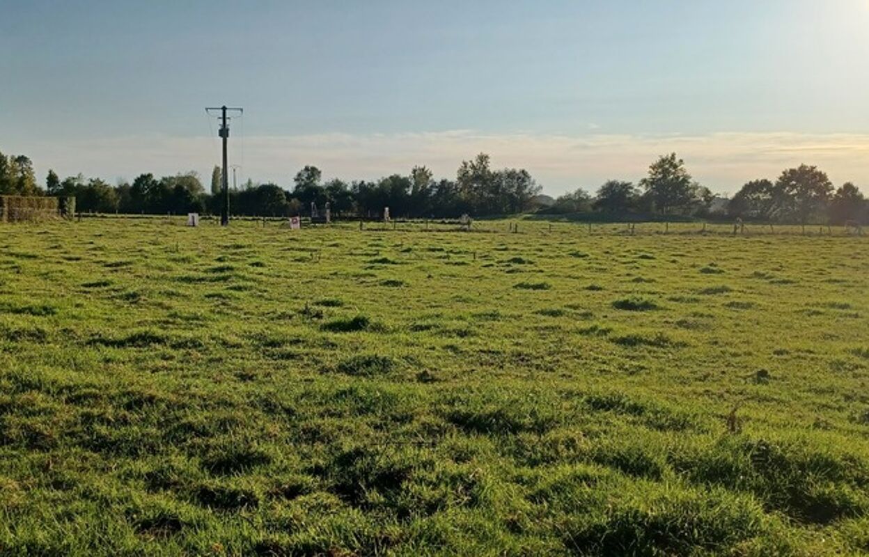 terrain  pièces 850 m2 à vendre à Nointot (76210)