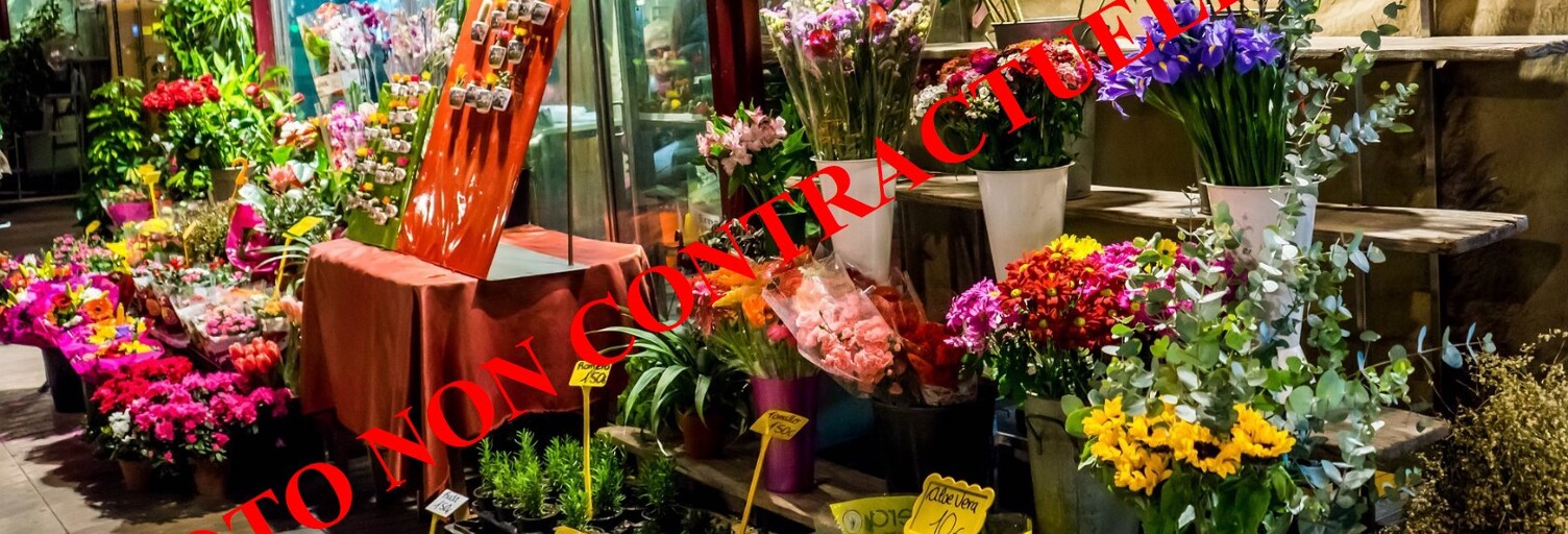 Commerce  60 m² à vendre à Aix-les-Bains (73100)