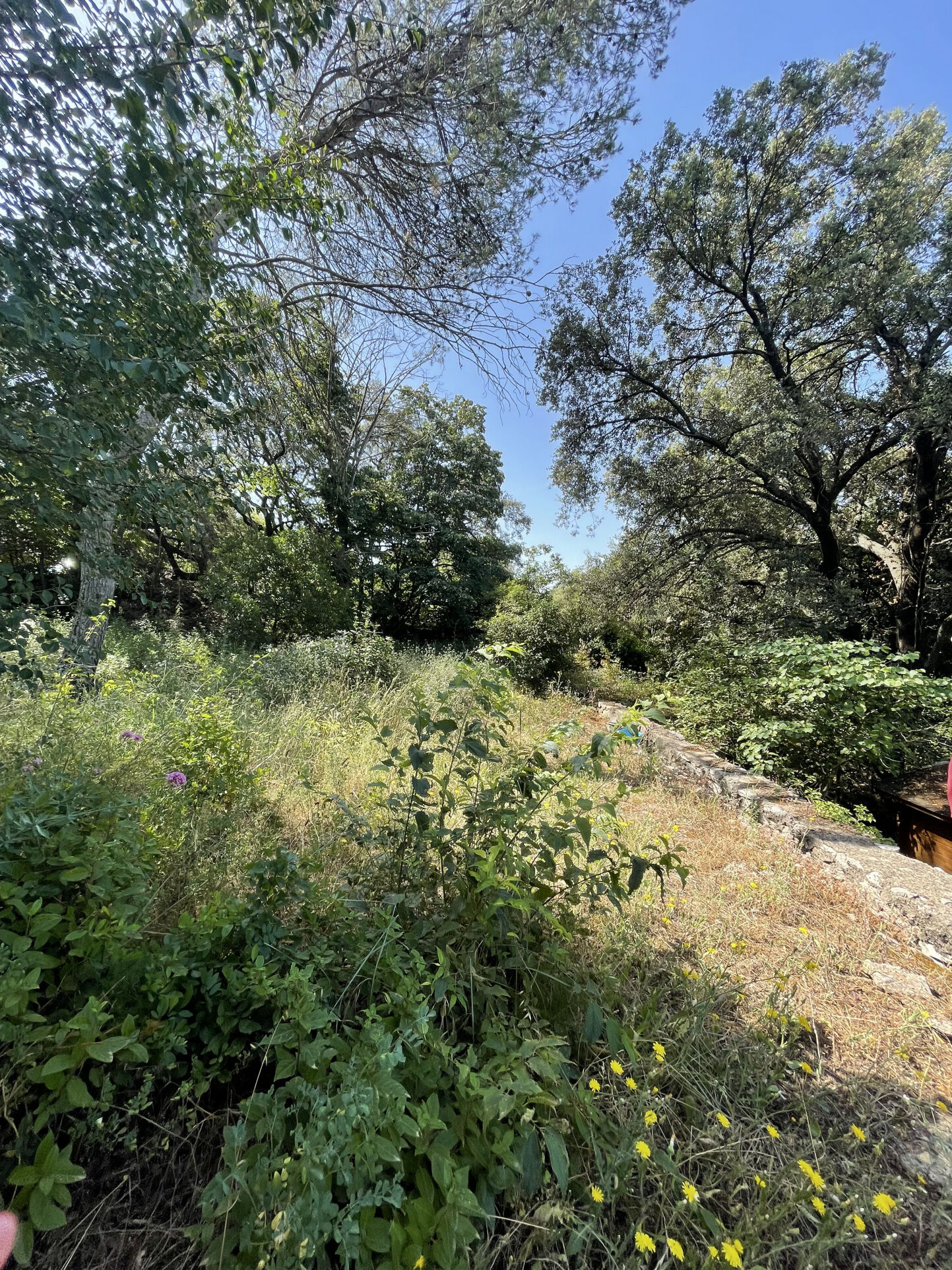 Terrain  à vendre Nîmes 30000