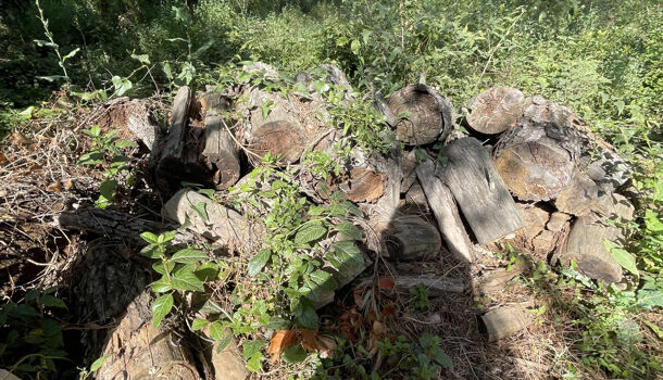 Terrain  à vendre Nîmes 30000