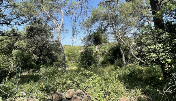 Terrain  à vendre Nîmes 30000