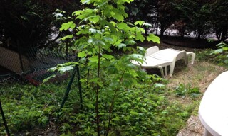 Photo N° 2