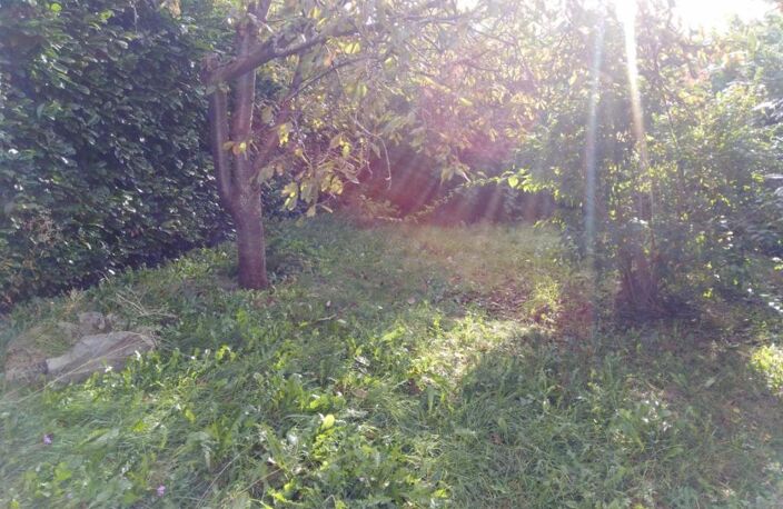 Maison — photo 5
