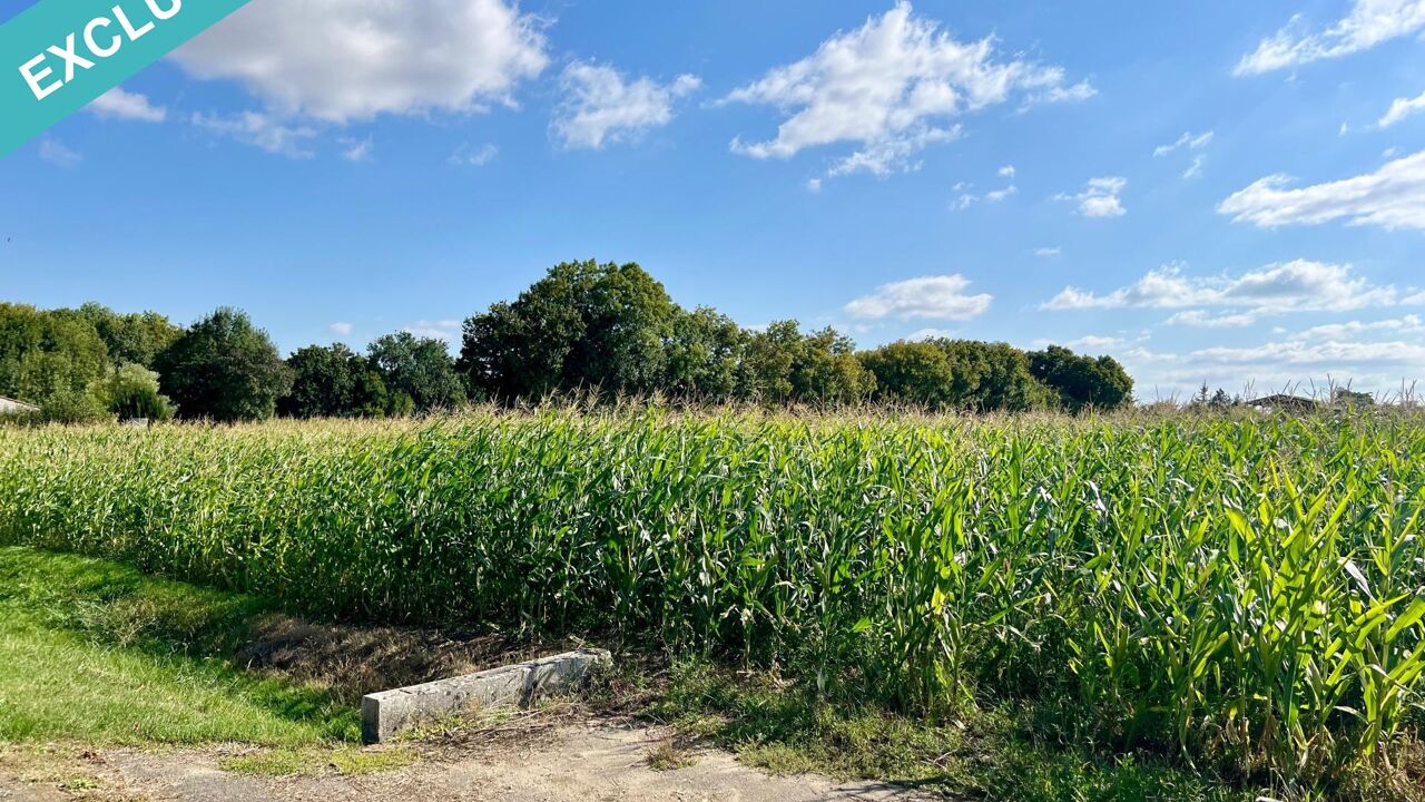 terrain  pièces 1540 m2 à vendre à Saint-Pardoult (17400)