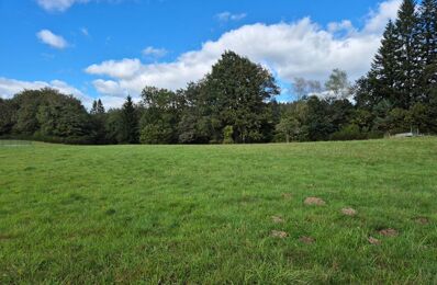 vente terrain 23 990 € à proximité de Argentat-sur-Dordogne (19400)