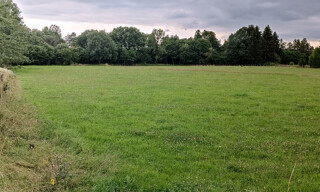 Terrain  6704 m² à vendre à Luxeuil-les-Bains (70300)
