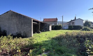 Photo N° 3