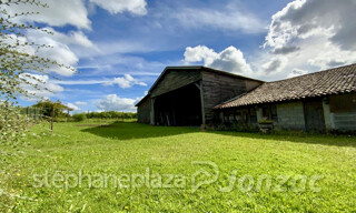 Photo N° 15