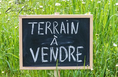 vente terrain 335 000 € à proximité de Murviel-Lès-Montpellier (34570)