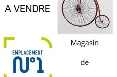 Commerce  307720 €