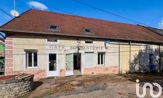 Photo N° 11