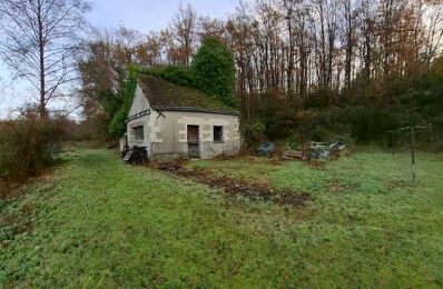 vente maison 350 000 € à proximité de Coteaux-sur-Loire (37130)