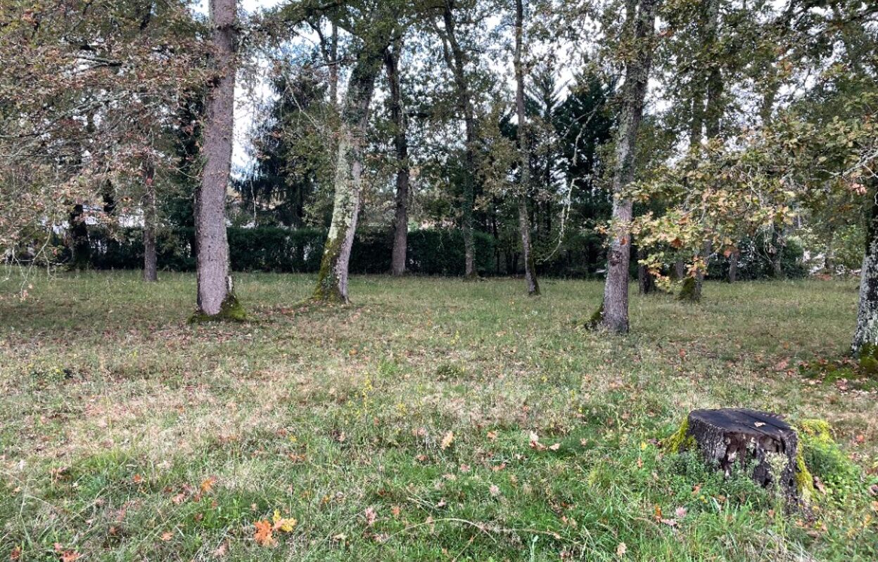 terrain  pièces 750 m2 à vendre à Léognan (33850)