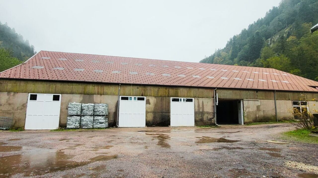 commerce  pièces 2000 m2 à vendre à Gérardmer (88400)