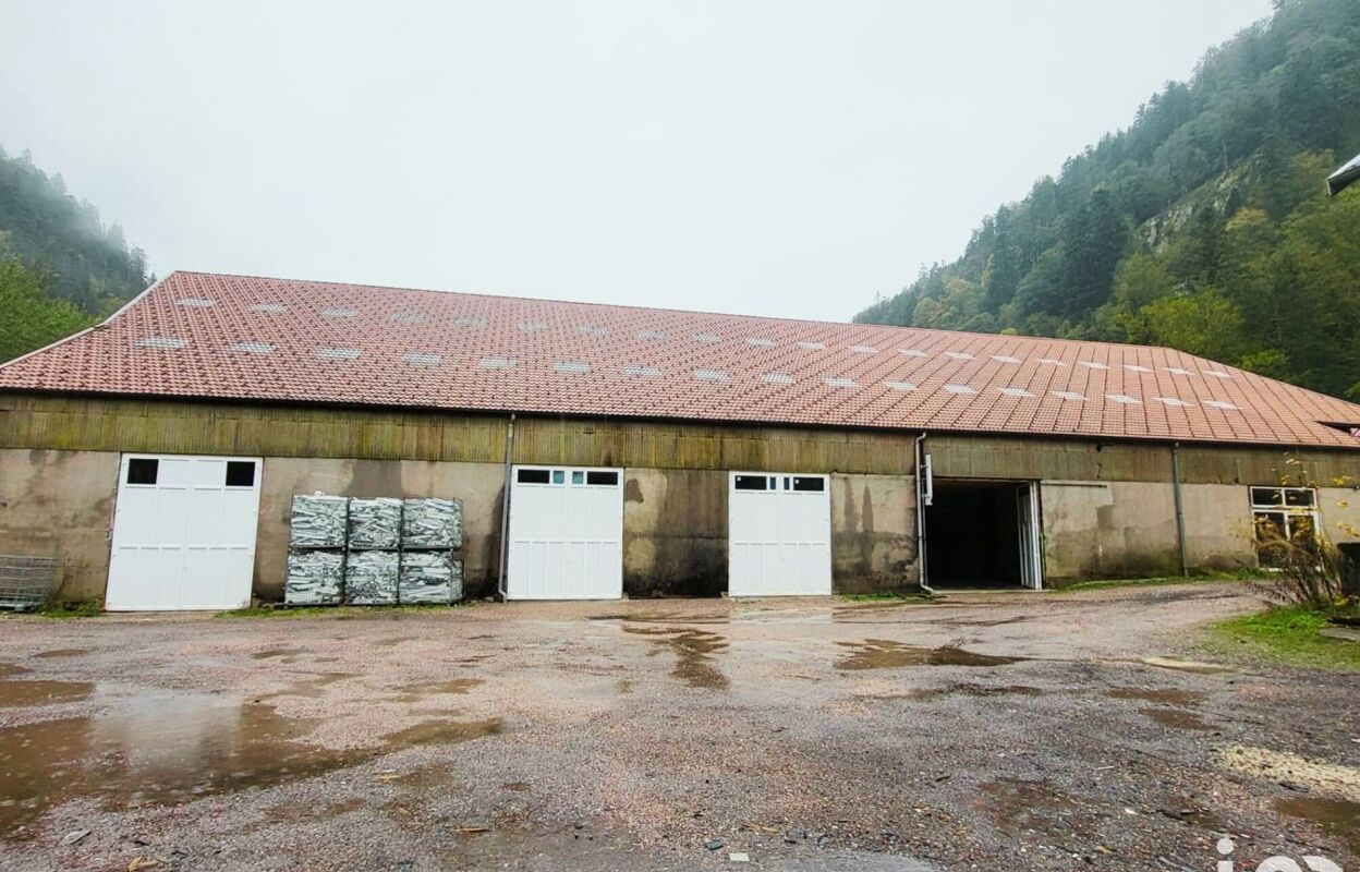 commerce  pièces 2000 m2 à vendre à Gérardmer (88400)