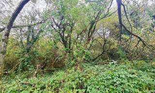 Terrain  4233 m² à vendre à Crozon (29160)