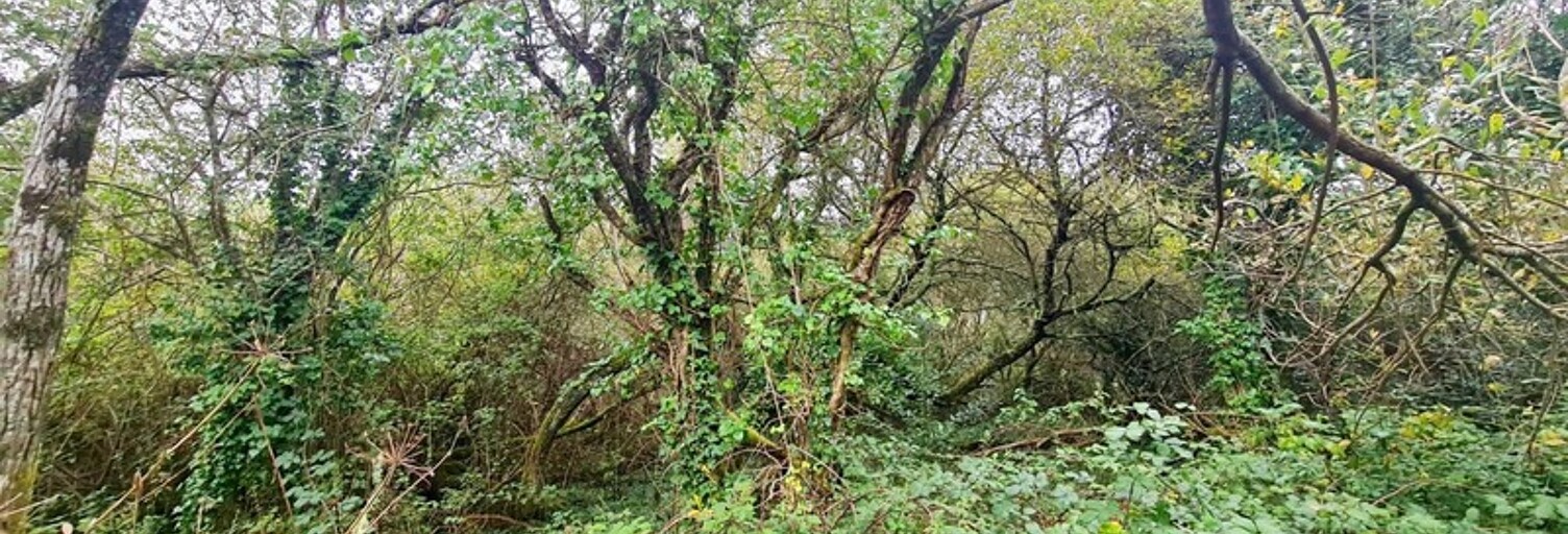 Terrain  4233 m² à vendre à Crozon (29160)