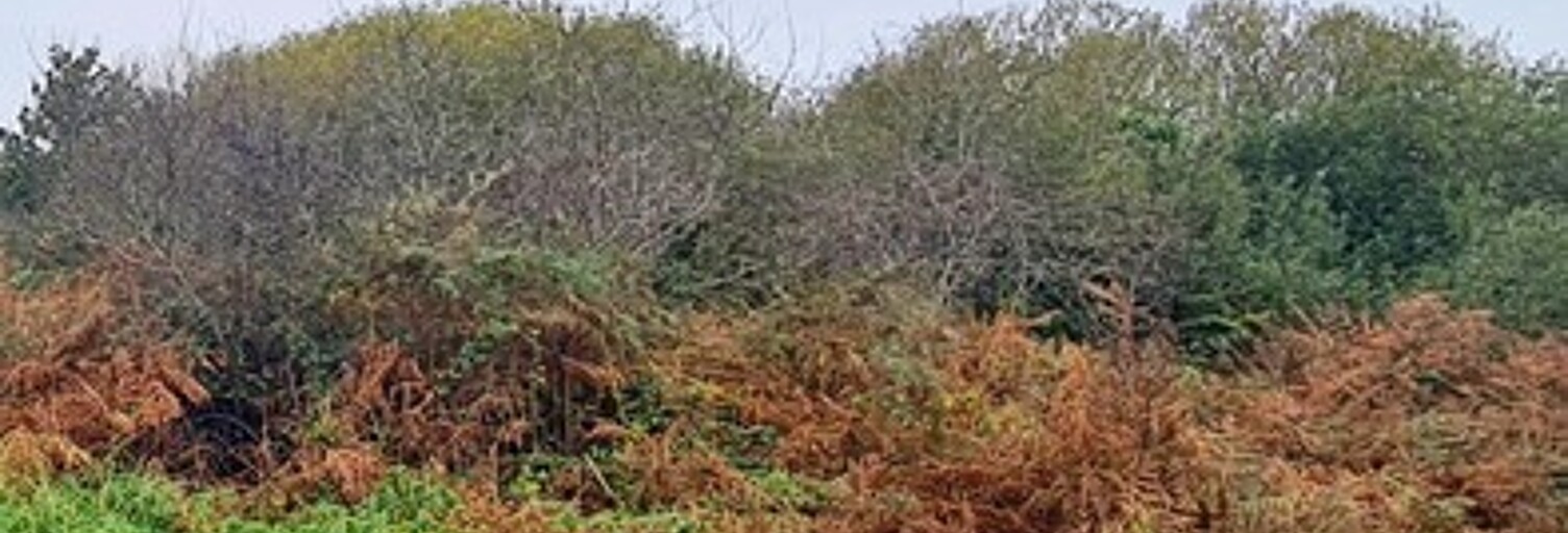 Terrain  2183 m² à vendre à Crozon (29160)