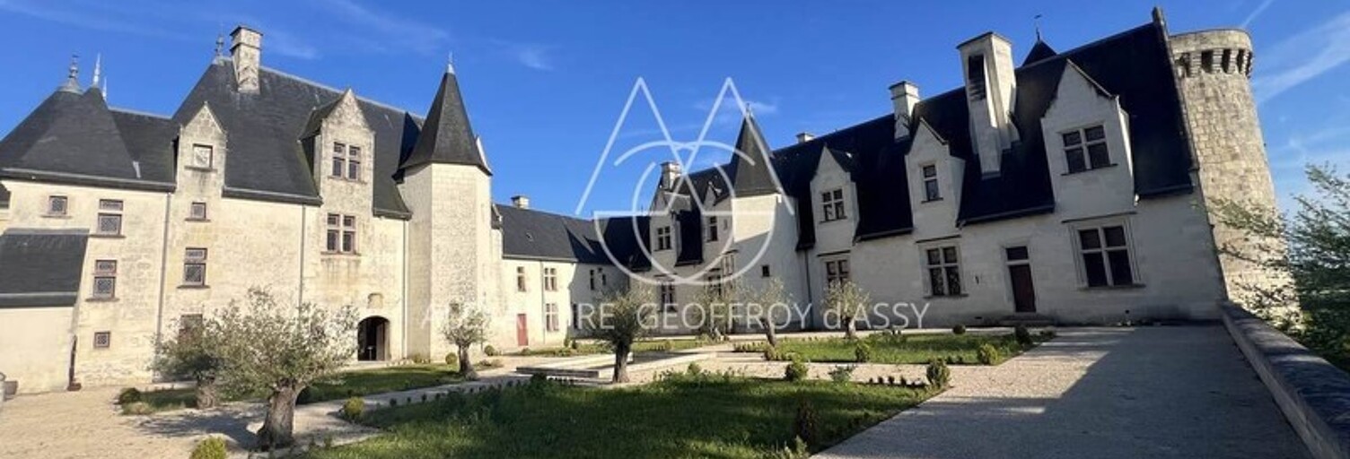 Maison 16 Pièces 3000 m² à vendre à Châtillon-sur-Indre (36700)