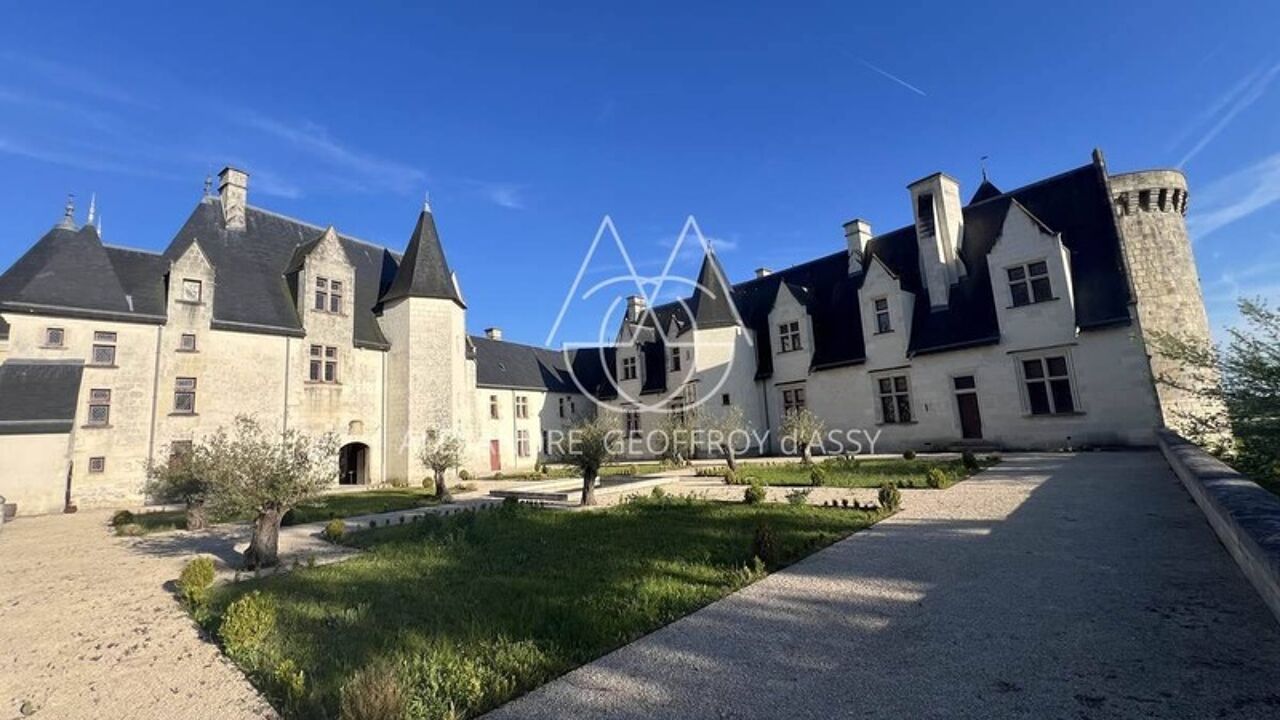 maison 16 pièces 3000 m2 à vendre à Châtillon-sur-Indre (36700)