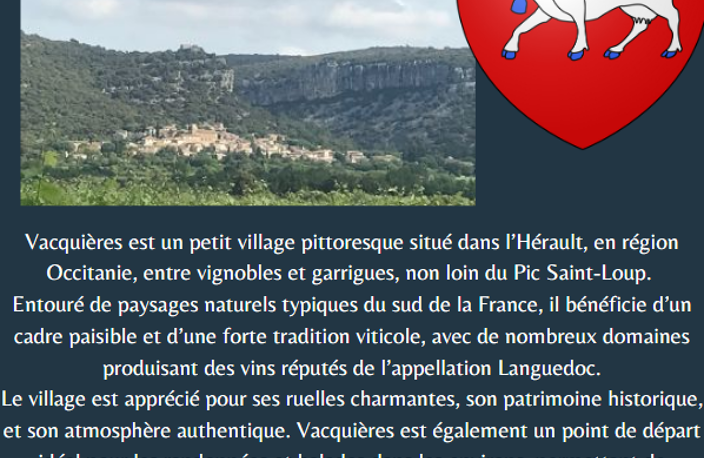 SECTEUR PIC ST LOUP, maison de village avec cour à renover p — photo 3