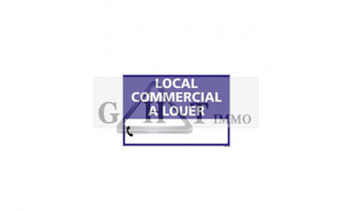 Commerce  349 m² à louer à Melun (77000)