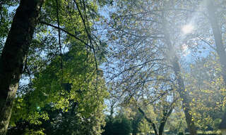 Photo N° 4