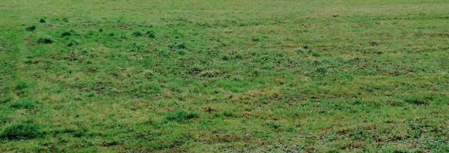 Terrain  5220 m² à vendre à Brigueuil (16420)