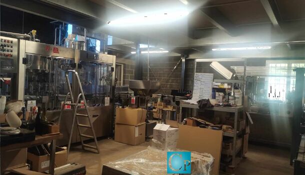 Villa / Maison 6 pièces  à vendre Puissalicon 34480