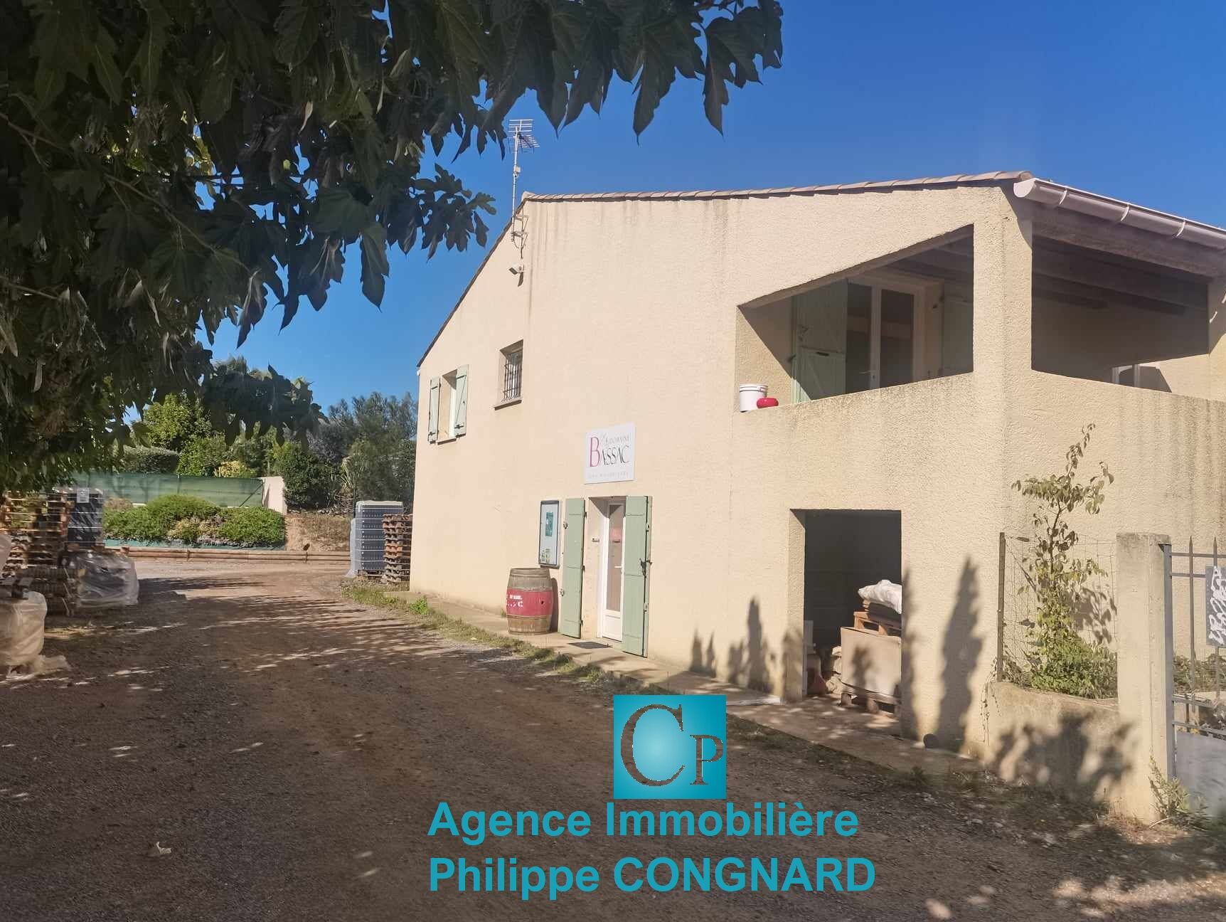 Villa / Maison  T6 à vendre Puissalicon 34480