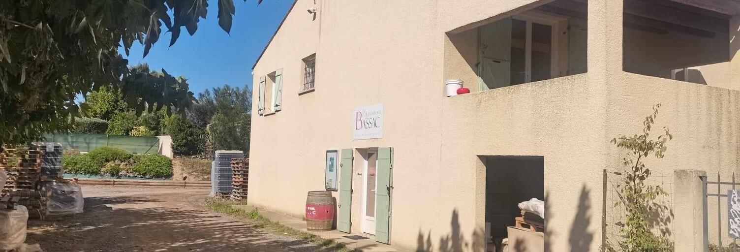 Maison 5 Pièces 165 m² à vendre à Puissalicon (34480)