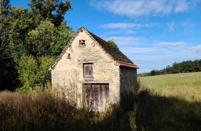 vente immeuble 25 000 € à proximité de Saint-Cirq-Souillaguet (46300)