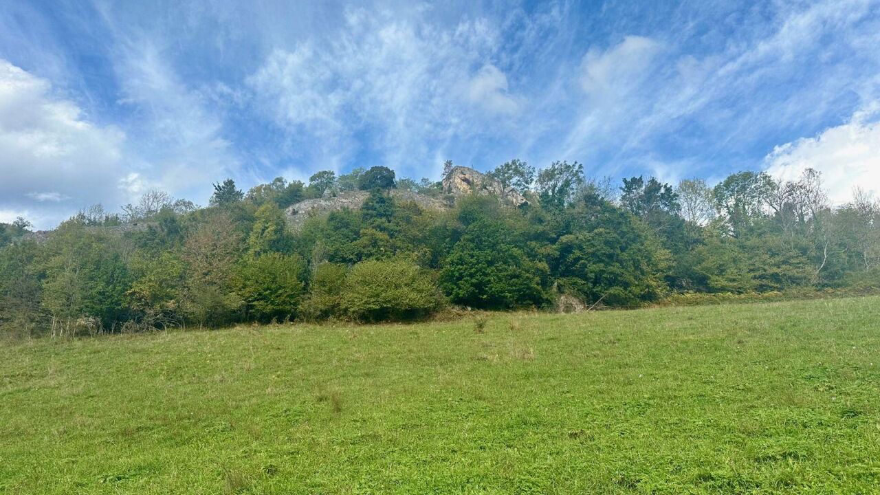 terrain  pièces 2963 m2 à vendre à Tarascon-sur-Ariège (09400)