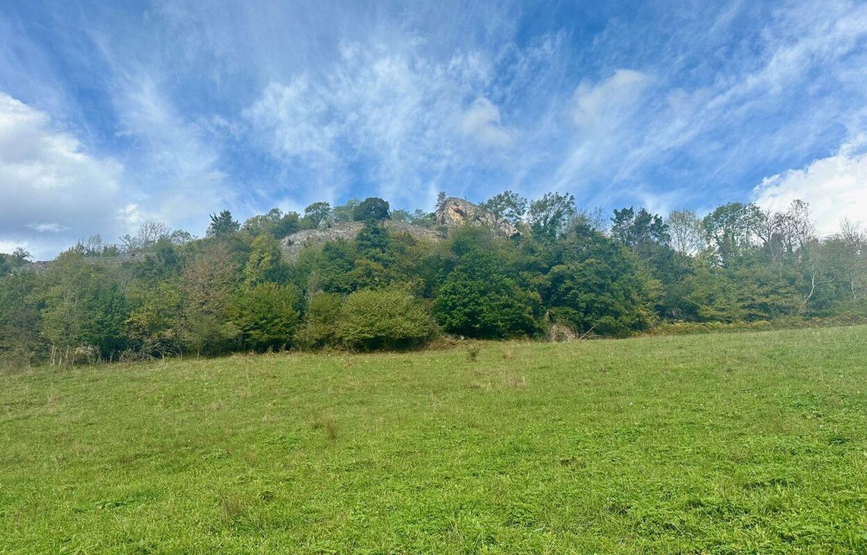 terrain  pièces 2963 m2 à vendre à Tarascon-sur-Ariège (09400)