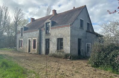 vente maison 49 000 € à proximité de Crozon-sur-Vauvre (36140)