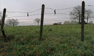 Photo N° 2