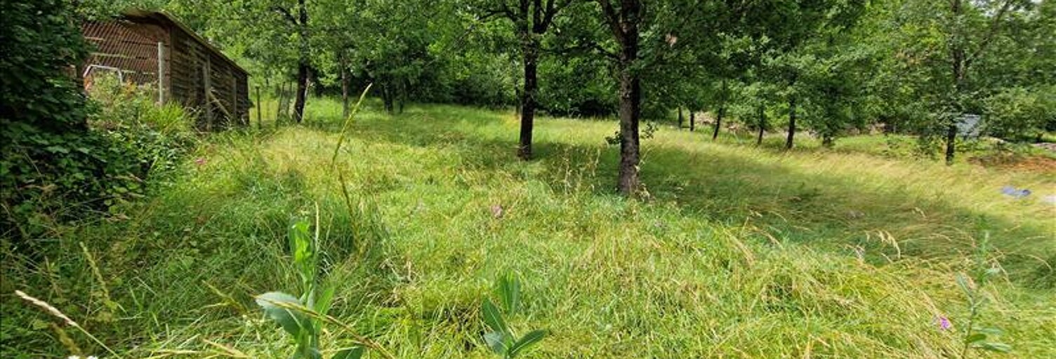 Terrain  1460 m² à vendre à Saint-Pierre-Toirac (46160)