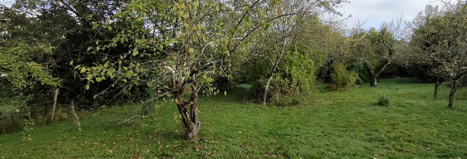 Terrain  1490 m² à vendre à Limoges (87000)