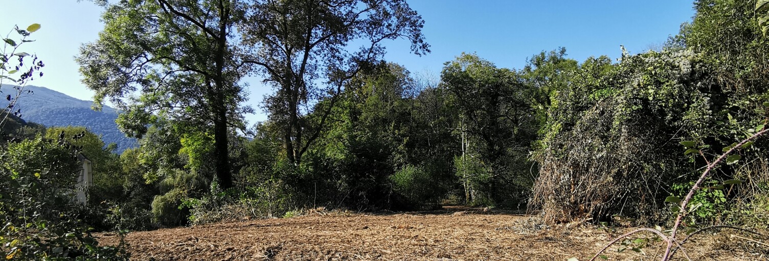 Terrain  3045 m² à vendre à Eysus (64400)