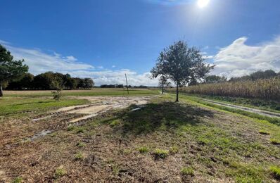 terrain  pièces 1249 m2 à vendre à Saint-Sever (40500)