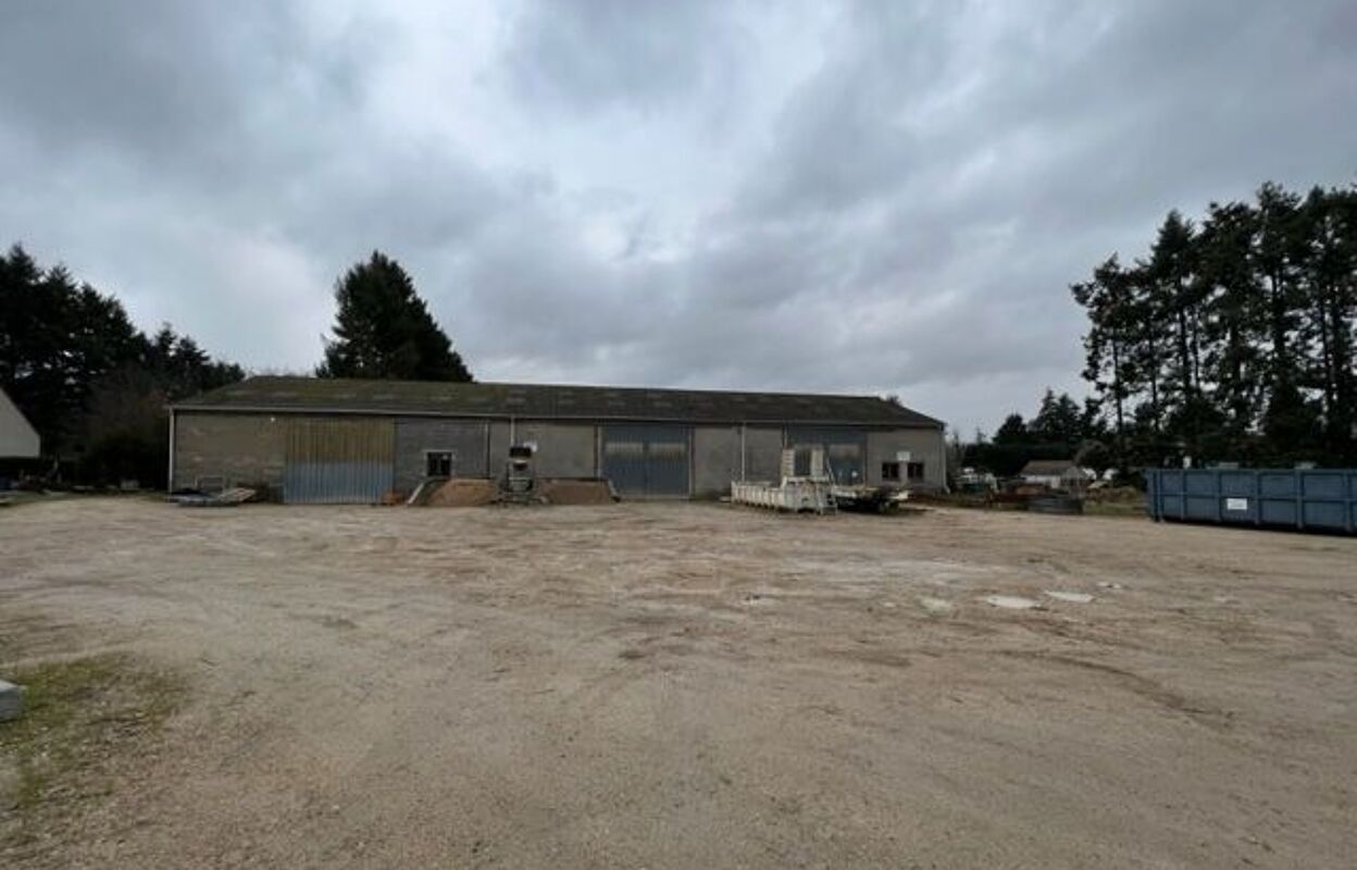 local industriel  pièces  m2 à vendre à Noyers-sur-Cher (41140)