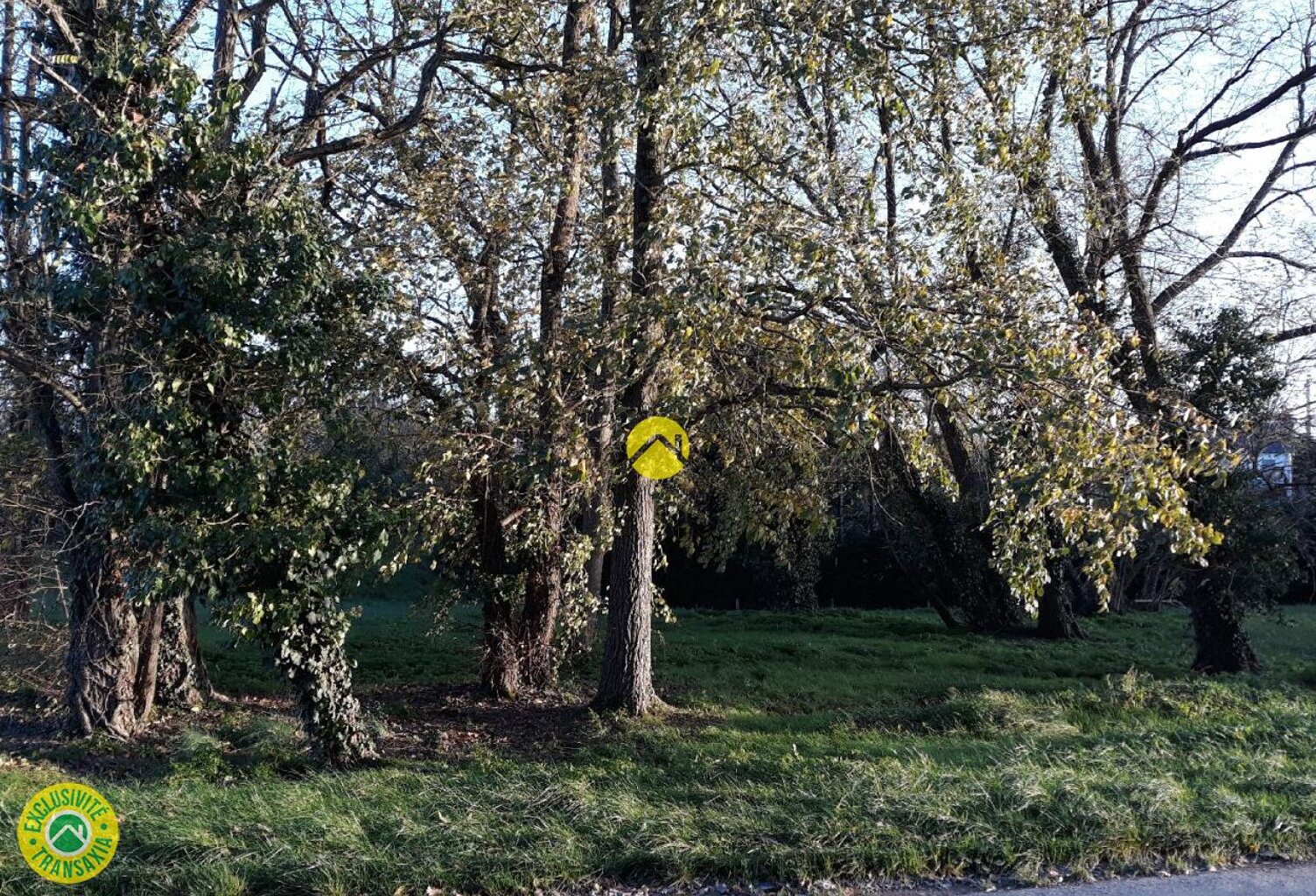 Terrain à Bâtir — photo 1