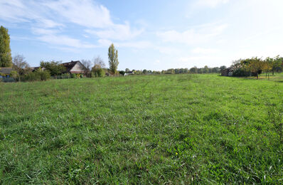 terrain  pièces 4620 m2 à vendre à Savonnières (37510)