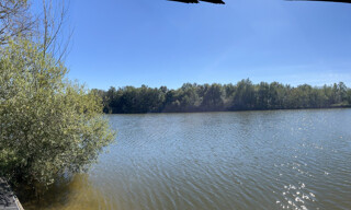 Photo N° 6