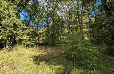 vente terrain 32 500 € à proximité de Rumont (77760)