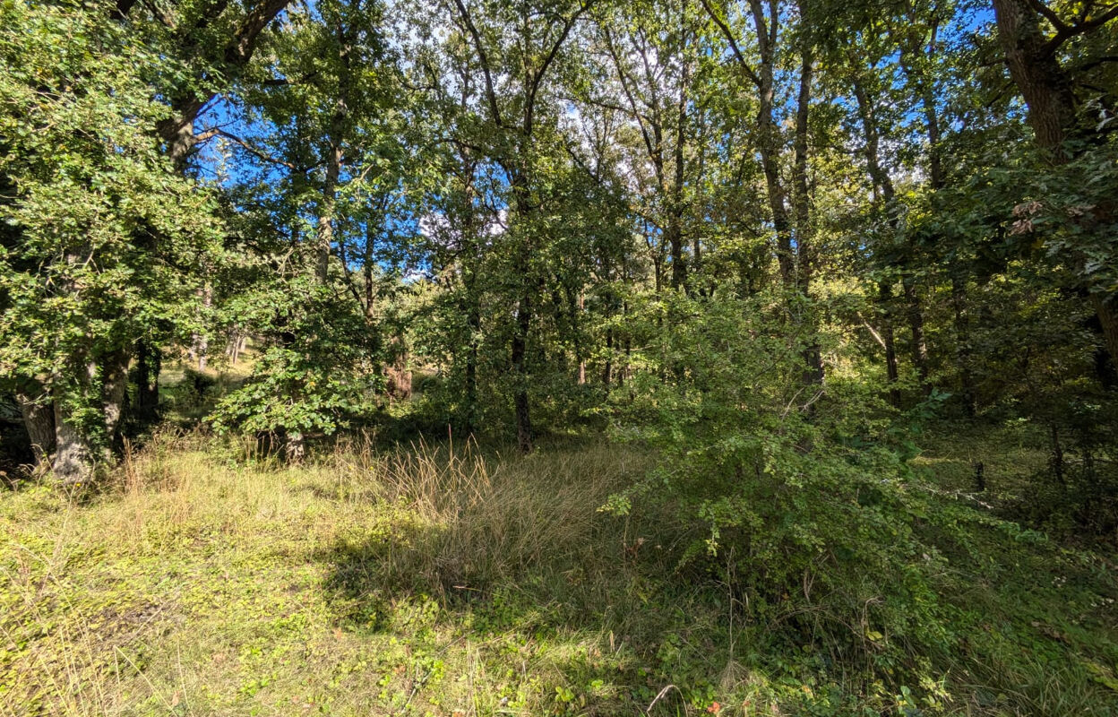 terrain  pièces 11186 m2 à vendre à Nemours (77140)