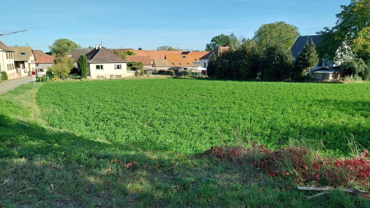 terrain  pièces 705 m2 à vendre à Handschuheim (67117)