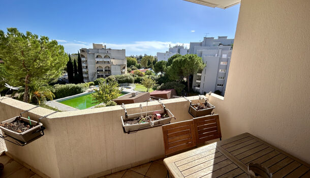 Appartement 4 pièces  à vendre Montpellier 34000